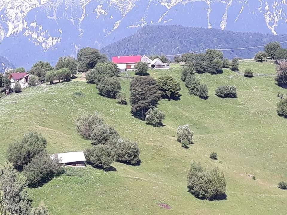 Lodge Casa Claudiu