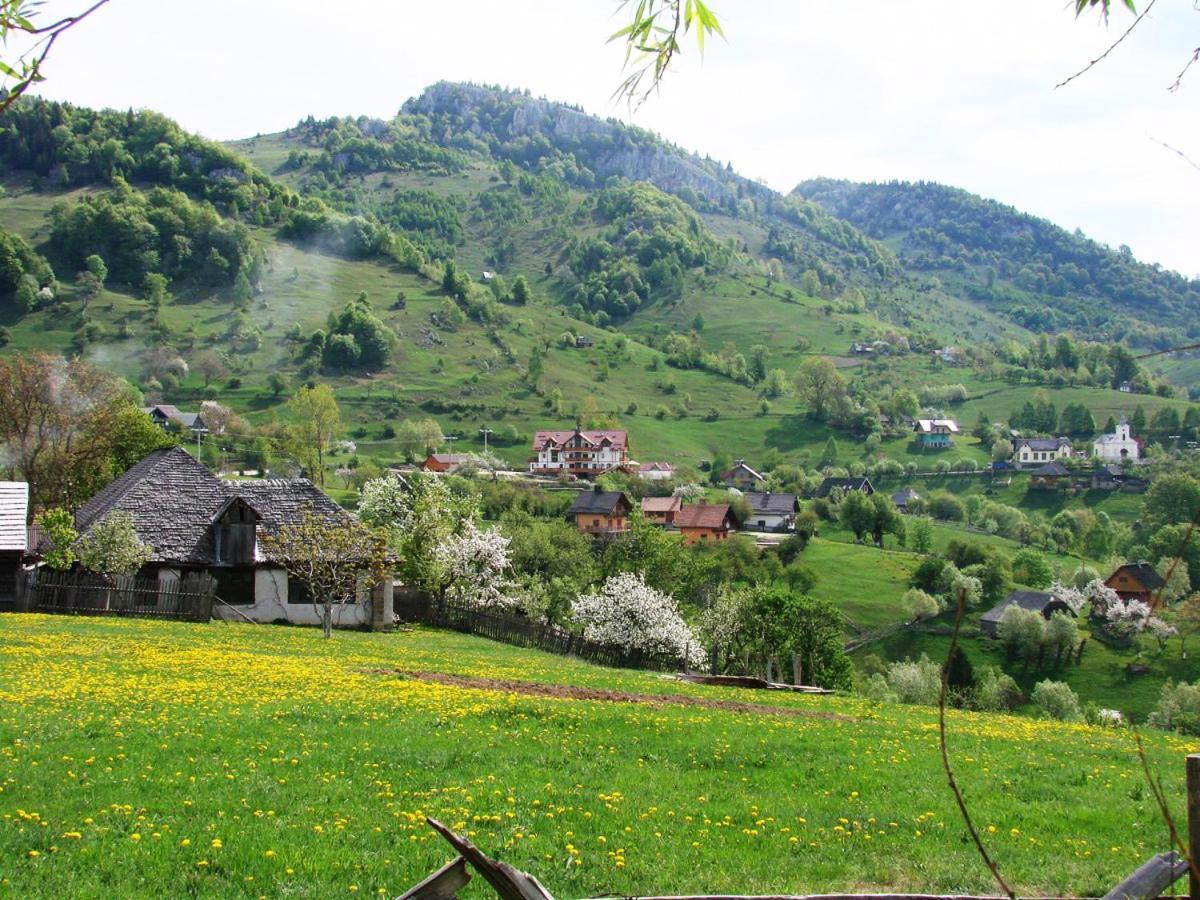 Casa Claudiu *
