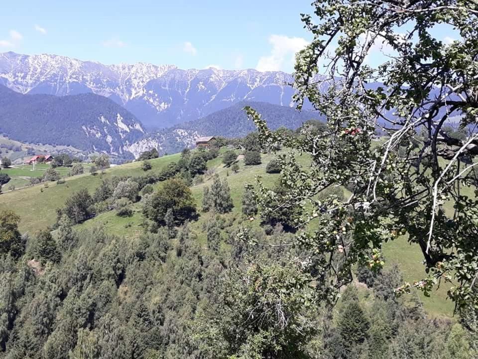 Lodge Casa Claudiu Magura (Brasov)