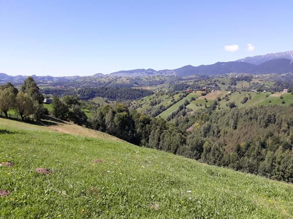 Casa Claudiu Lodge